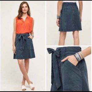 HD in Paris navy skirt